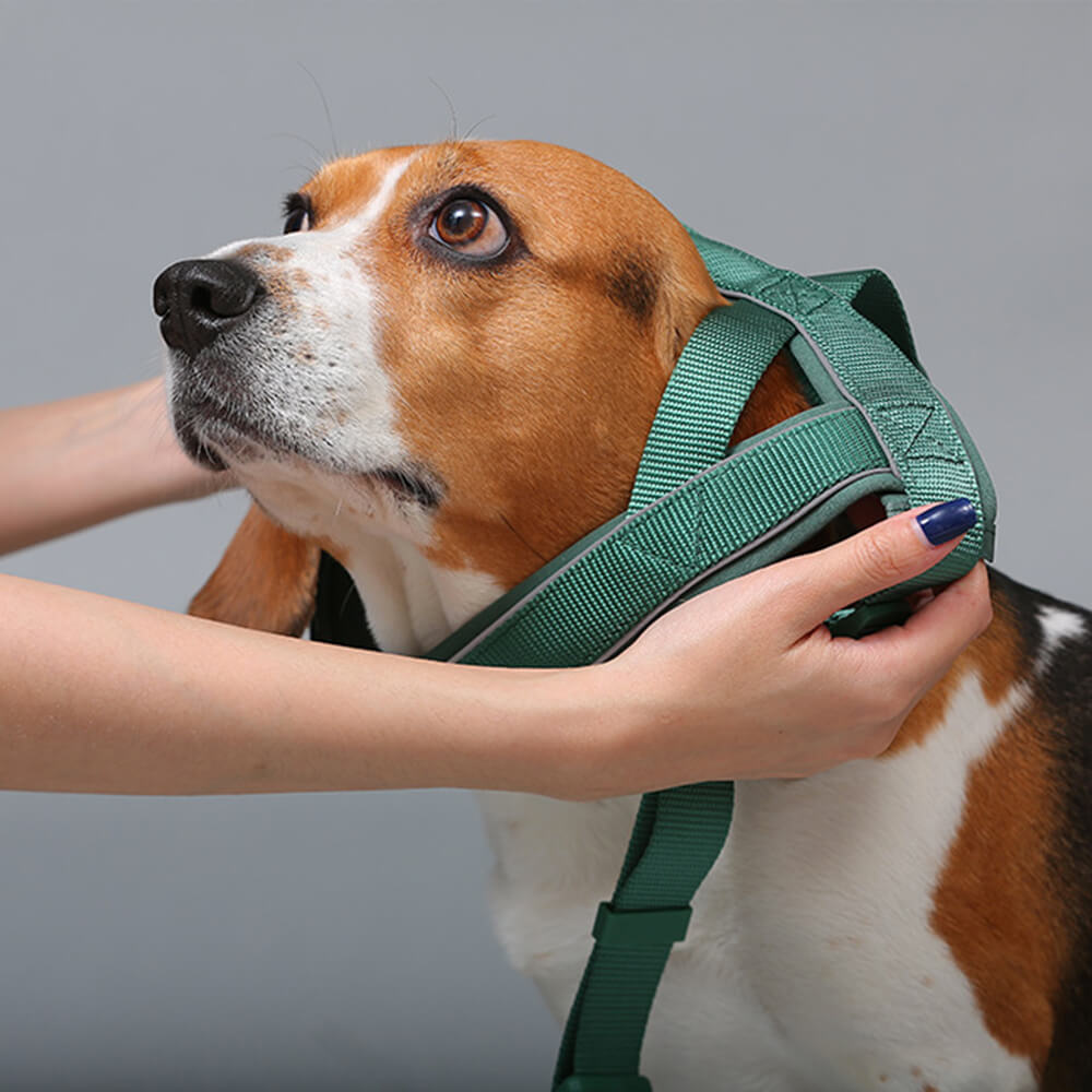 No-Pull Dog Harness  – Reflective & Adjustable - Opulenza