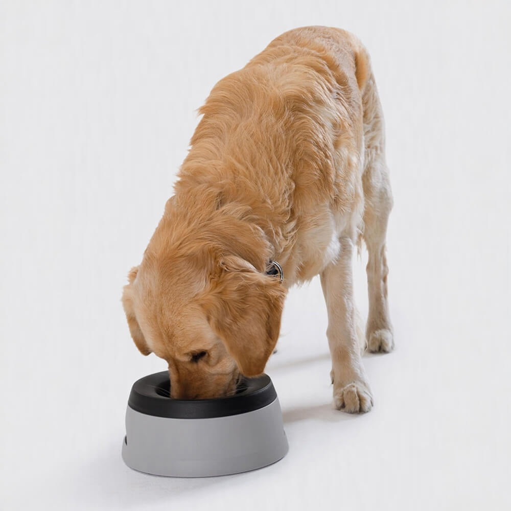 No Spill Floating Disk Water Bowl – Vehicle Travel Dog Hydration Companion - Opulenza