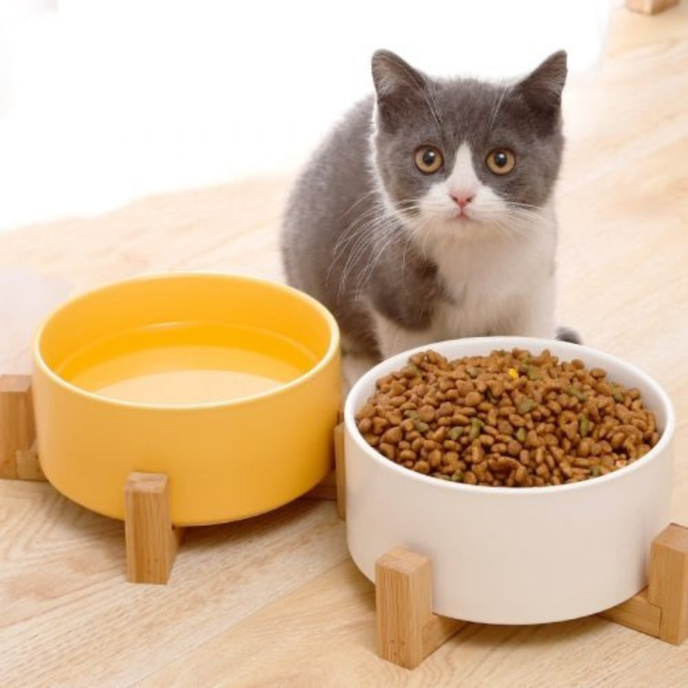 PawFeast Ceramic Dog Bowl – Stylish Dining with Wooden Stand - Opulenza