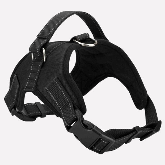 Pets Collar & Lead Set - Opulenza