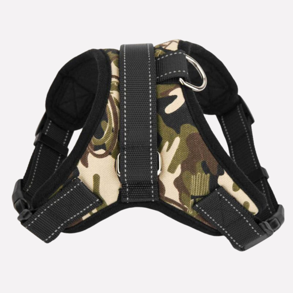 Pets Collar & Lead Set - Opulenza