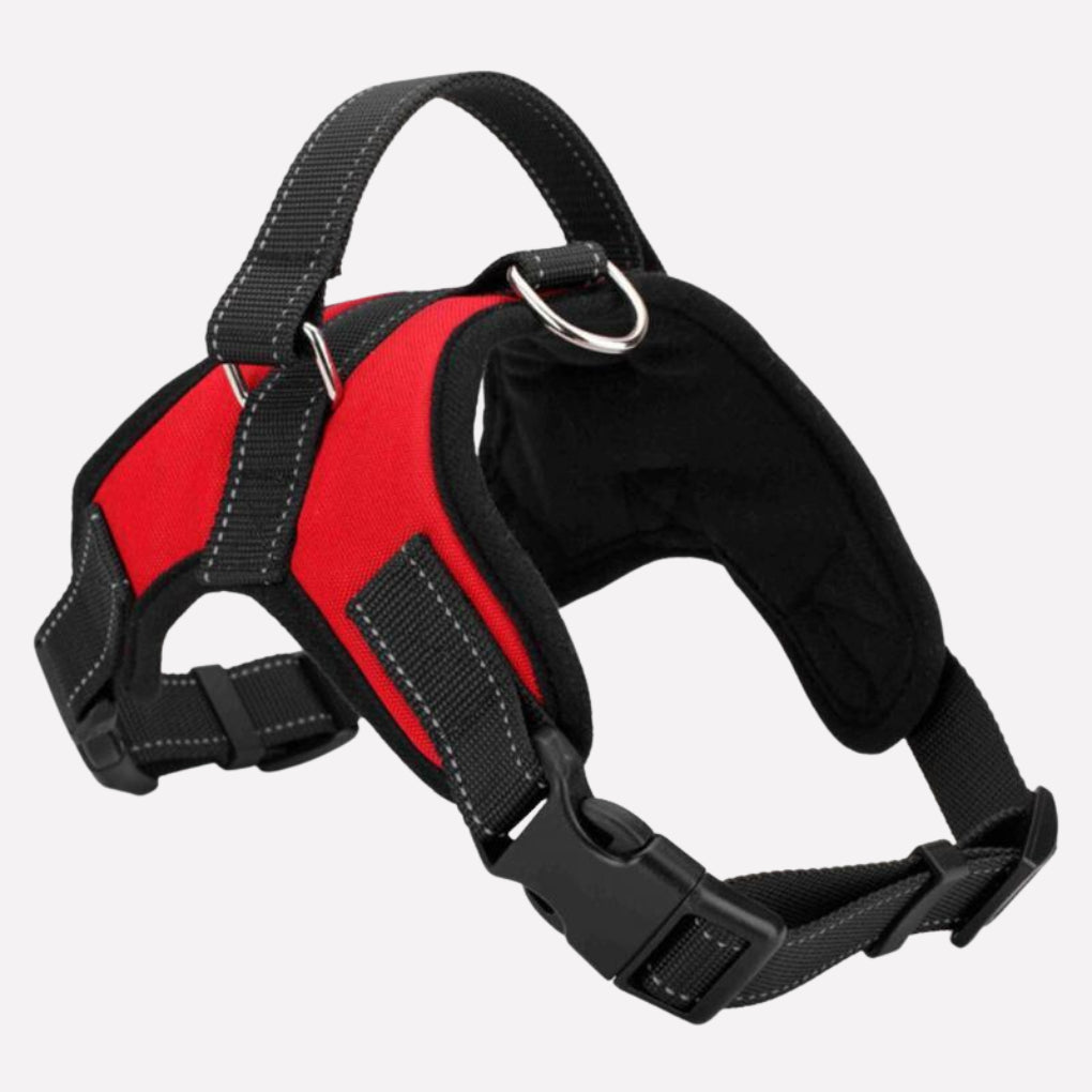 Pets Collar & Lead Set - Opulenza