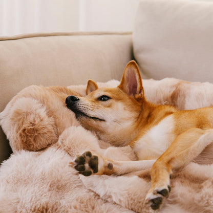 Plush Anti-Slip Dog Sofa Mat – Calming & Protective - Opulenza