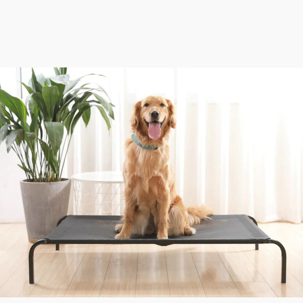 Removable & Washable Pet Bed - Opulenza