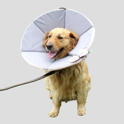 Soft Protective Collar for Dogs - Opulenza