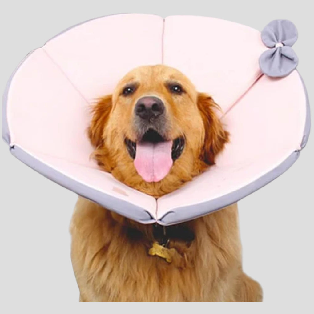 Soft Protective Collar for Dogs - Opulenza