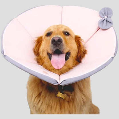 Soft Protective Collar for Dogs - Opulenza