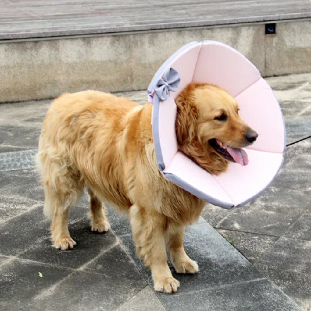 Soft Protective Collar for Dogs - Opulenza