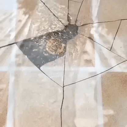 Transparent Waterproof Topcoat for Surface Protection - image 3 of 6