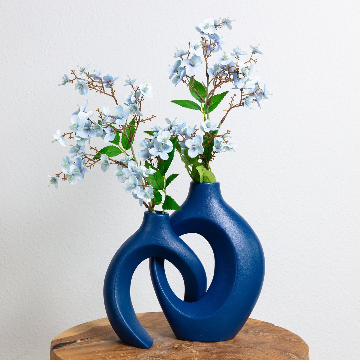 Gleora - image 5 of 12